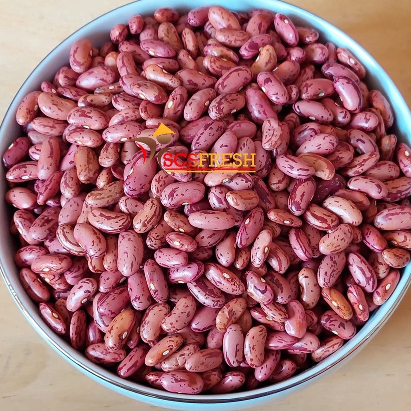 

MURAH LEBAY KACANG MERAH KACANG JOGO KACANG ES CAMPUR KACANG UNTUK SOP