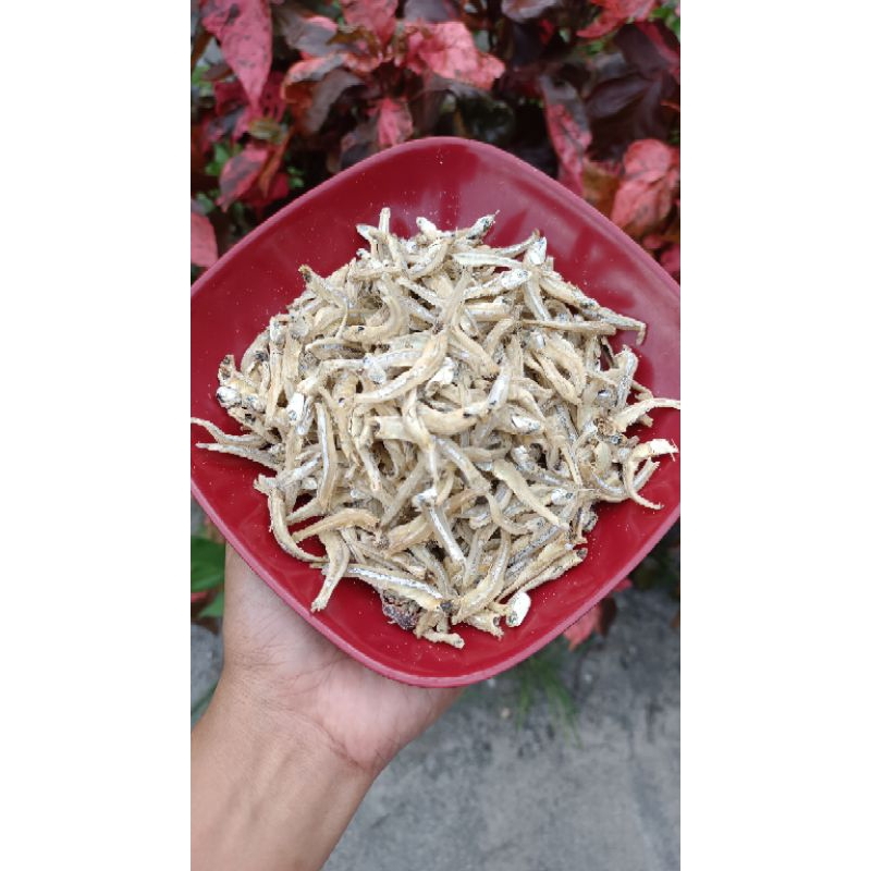 

Ikan Teri / Ikan Bilis Enak dan Lemak