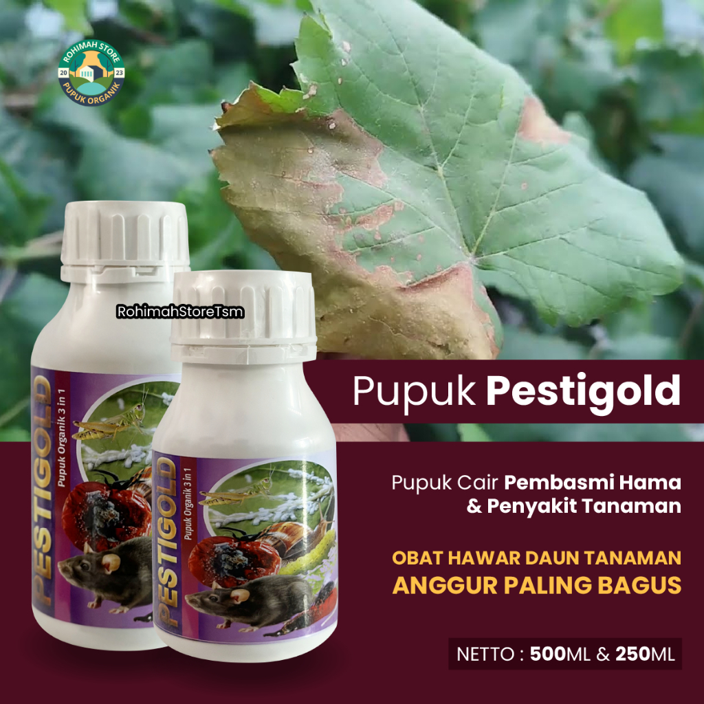Pupuk Komplit Pembasmi Hama & Penyakit Tanaman Buah Anggur Ampuh PESTIGOLD - Pestisida Cegah Daun Ku