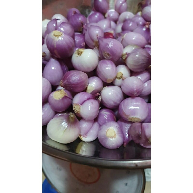 

brambang kupas / 1kg