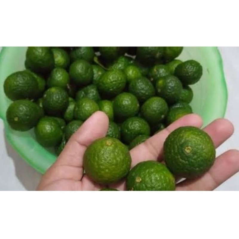

jeruk sambal per biji