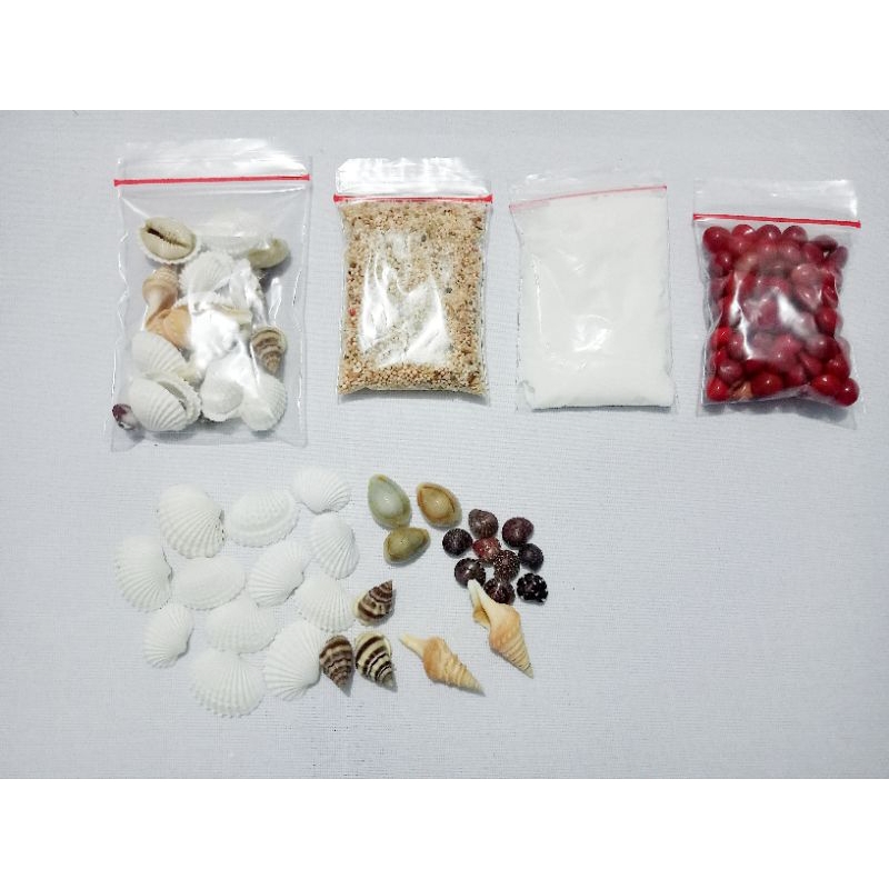 kolase paketan lengkap kerajinan tangan craft tugas sekolah paud TK SD anak mainan edukasi kerang bi