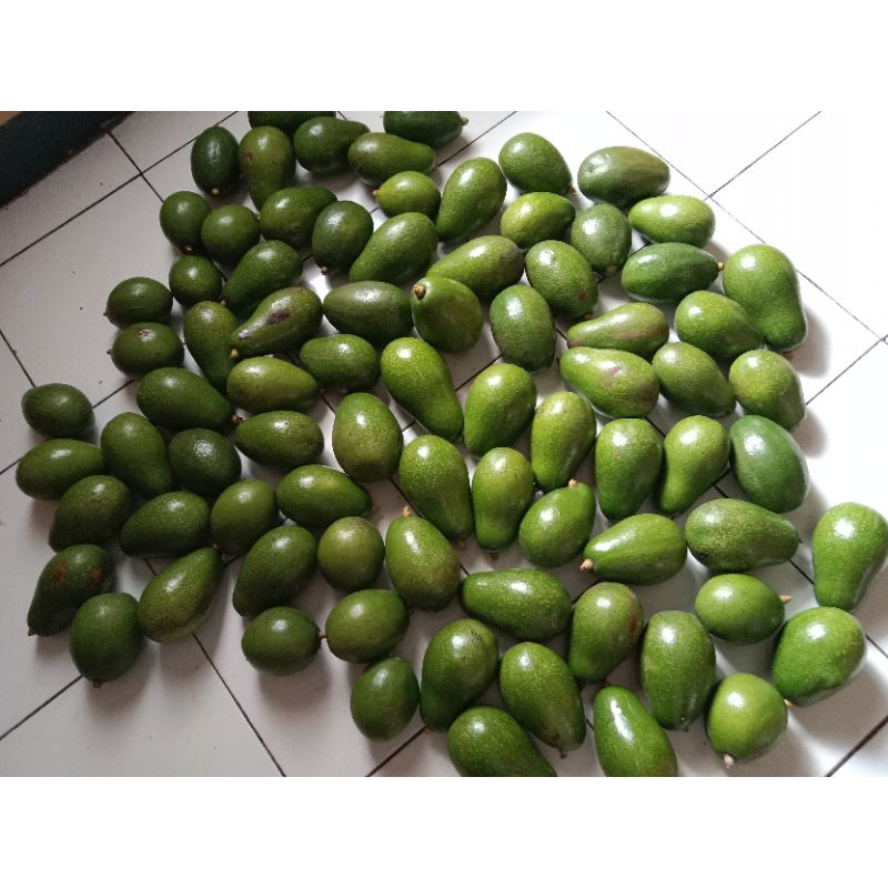 

ALPUKAT MENTEGA SUPER PAKET 1KG