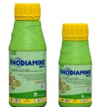 Rhodiamine 865SL 200 Ml herbisida kontak racun gulma rumput