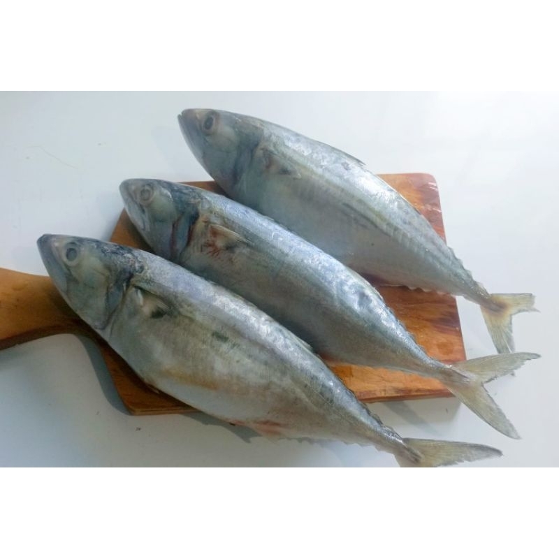 

KEMBUNG BANJAR BESAR 4/6ekor /kg PALMERAH