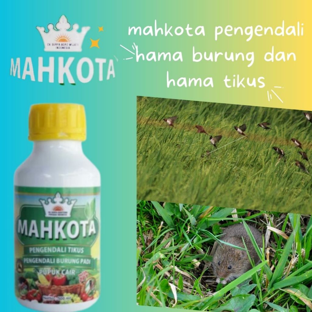 mahkota pupuk cair pembasmi tikus pengendali tikus hama padi dan ulat tanaman