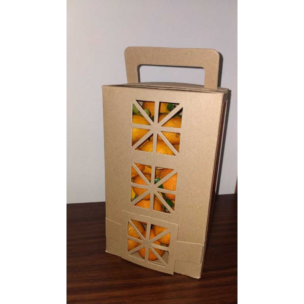 

JERUK SANTANG DAUN 2KG + BOX JERUK JENDELA