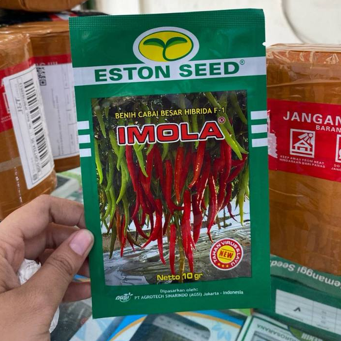 Cabai Imola F1 new Benih Cabe Imola Baru Merah Besar Hibrida 10gr