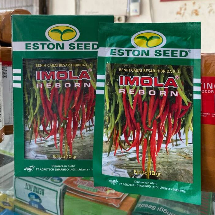 Cabe Besar Hibrida REBORN IMOLA F1 Kemasan 10gr Original Pabrik