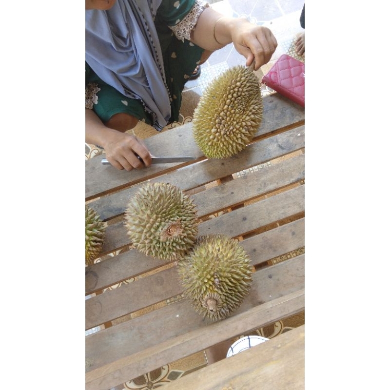 

durian