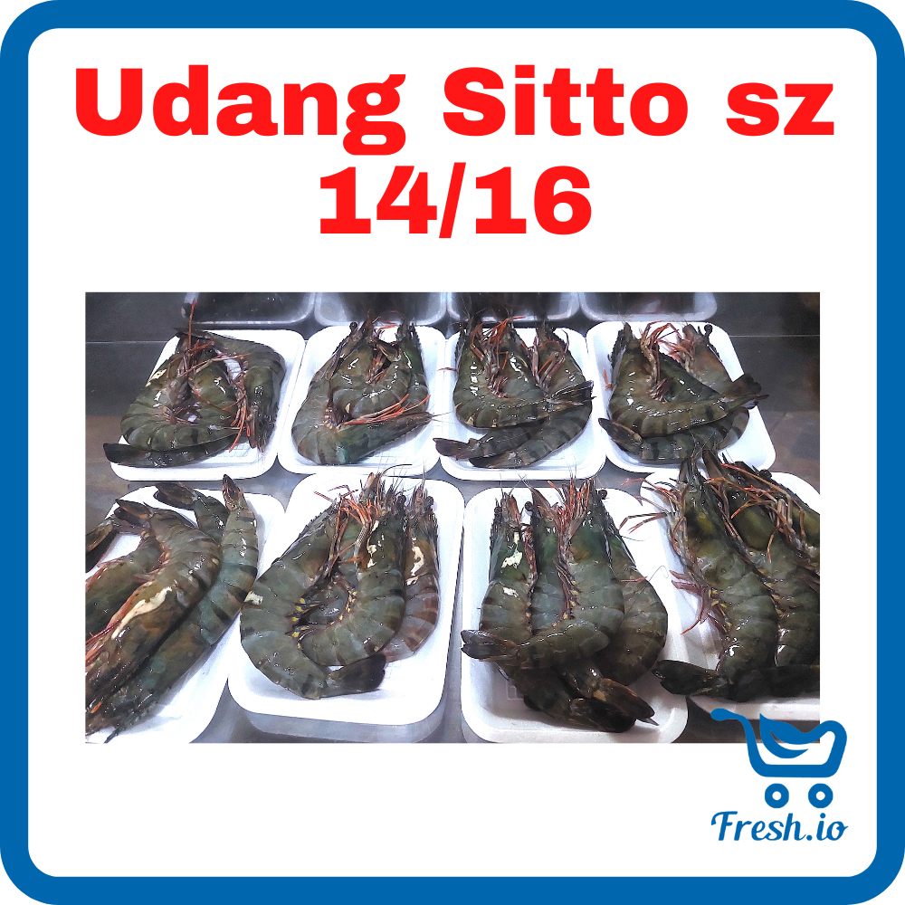 

Udang Sitto size 13/16