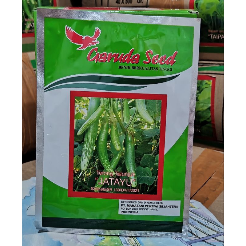 

terong telunjuk (JATAYU)