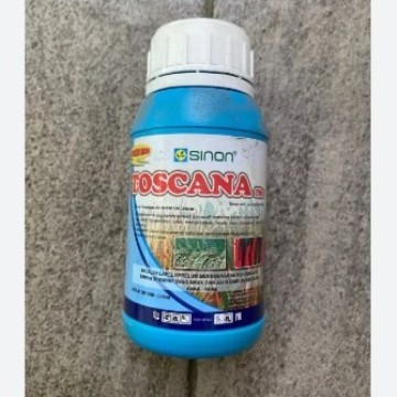 Toscana 100 Ml azoksistrobin fungisida sistemik protektif dan kuratif