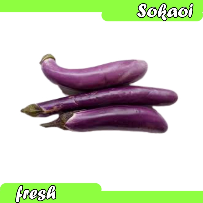 

TERONG UNGU PER BIJI