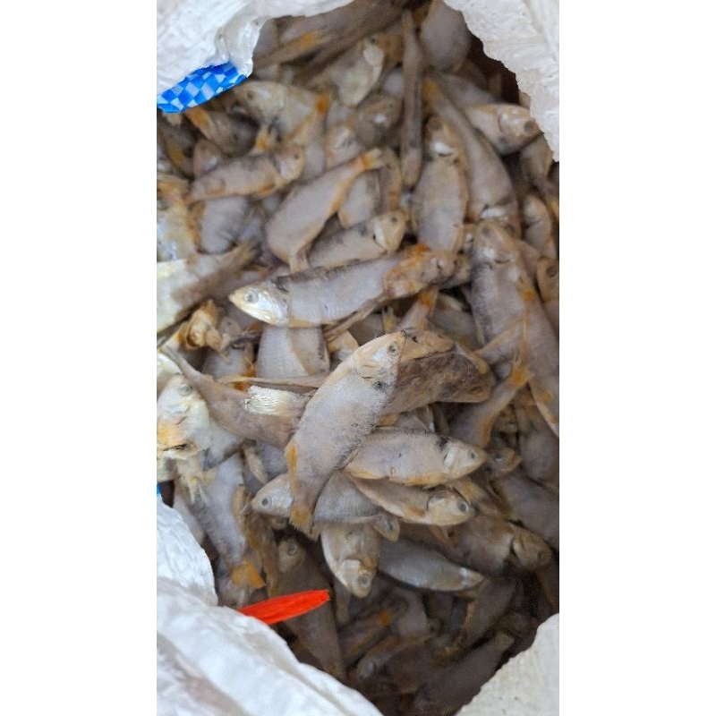 

Ikan asin Kresek / kasai 500 gr
