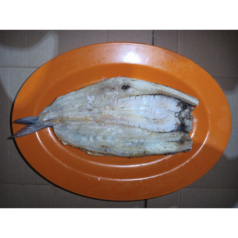 

ikan asin gabus