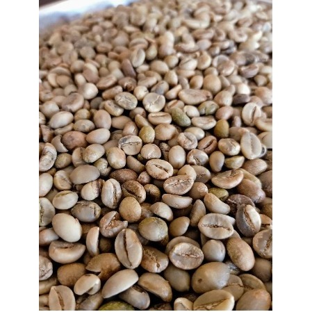 

Biji Kopi mentah / greenbean Robusta asli lereng Semeru 1Kg ( Rp 62.000 )