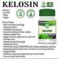 

Kelosin Hni Untuk Nutrisi Otak serta Herbal Penurun Kolesterol , Tekanan Darah Tinggi Serta Anti Kanker dan Tumor