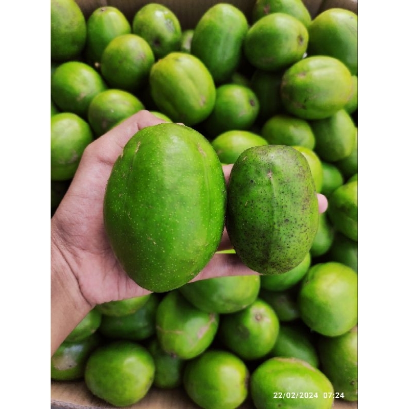 

Buah Kedondong