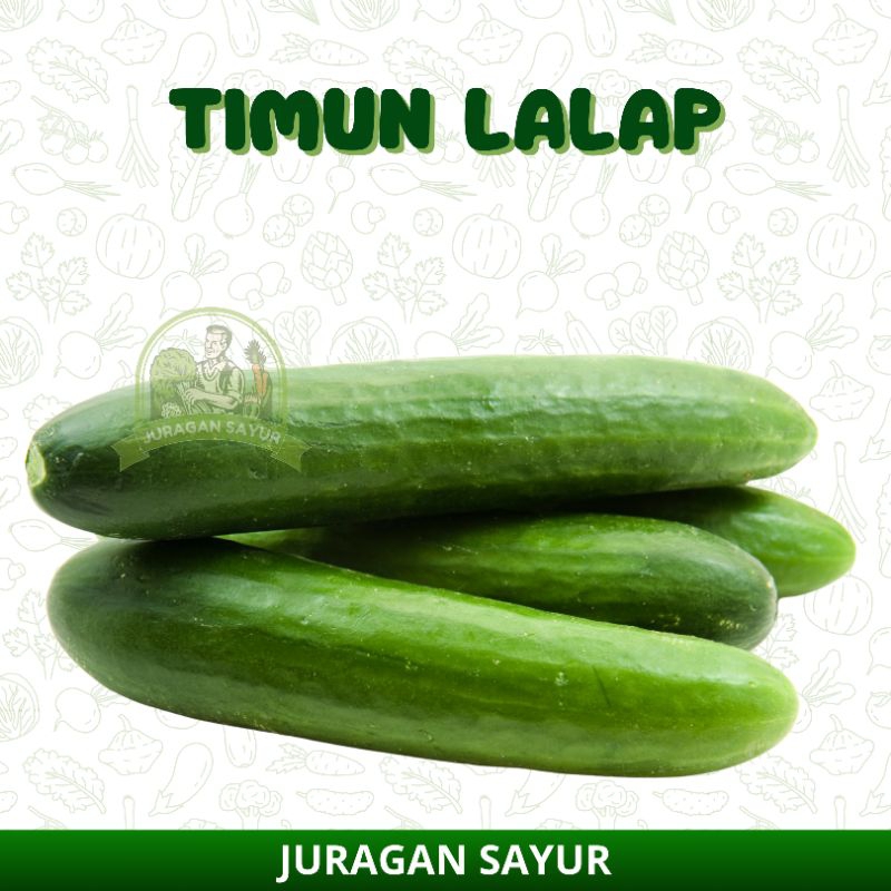 

MENTIMUN | TIMUN LALAP