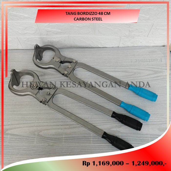 Tang Bordizzo Besar Tang Kastrasi Hewan Ternak Kambing Domba Sapi Kerbau dll