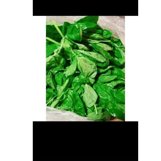 

Daun basil 100gram