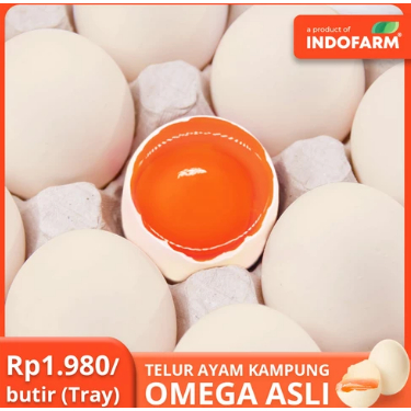 

Telur Ayam Kampung Asli Segar Grade A Premium 30 Butir (1 Tray) - INDOFARM