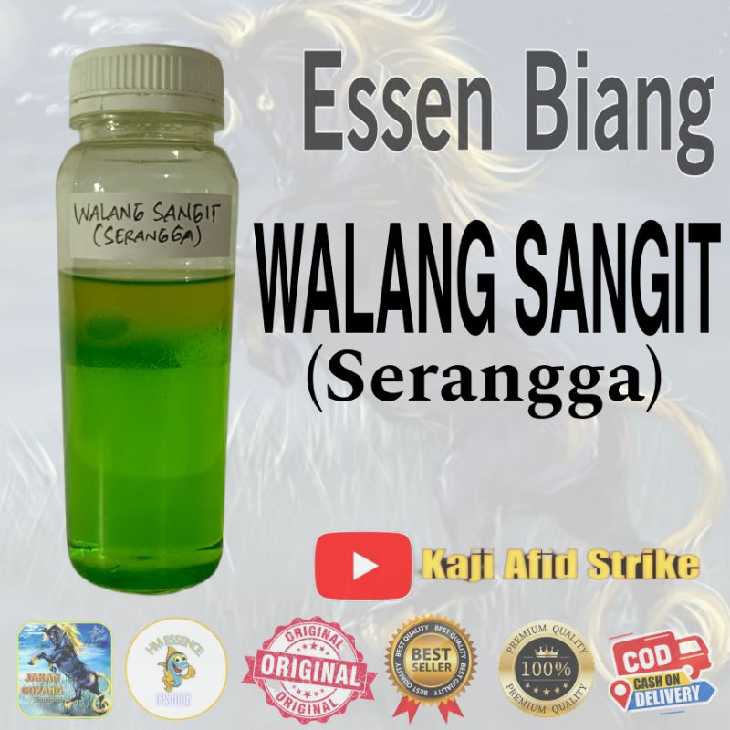 Essen Biang Walang Sangit(serangga)