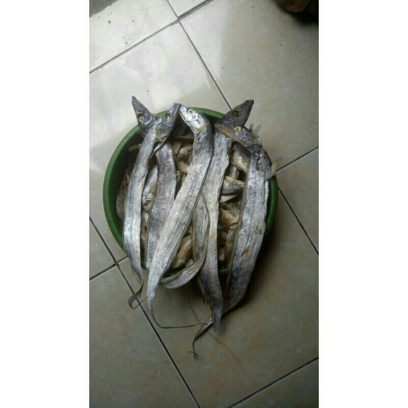 

IKAN ASIN