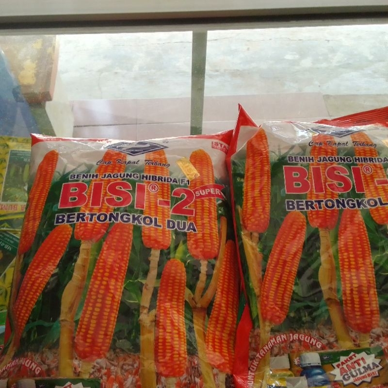 benih jagung hibrida bisi-2 bertongkol 2 1 kg