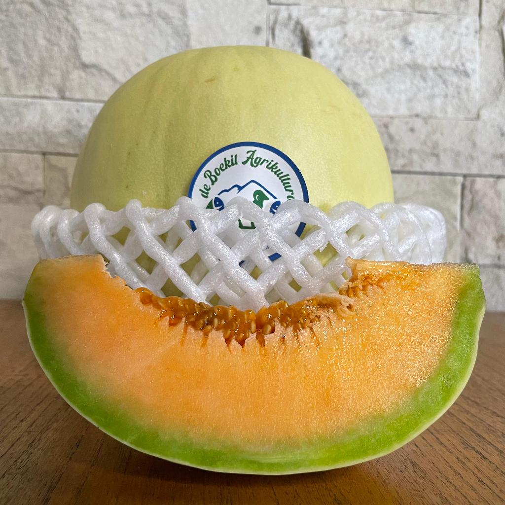 

Melon Wangi (Pearl Lady)