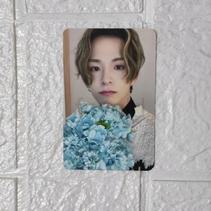 Official Asahi TREASURE photocard night garden collect book kolbuk pc