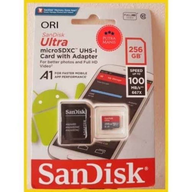sandisk 256gb