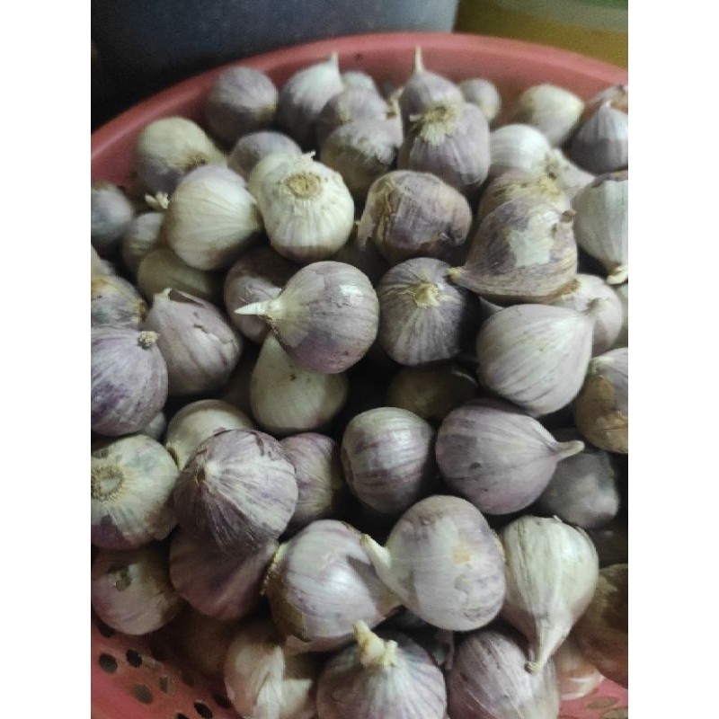 

BAWANG PUTIH TUNGGAL 100G / JAMIN SEGAR