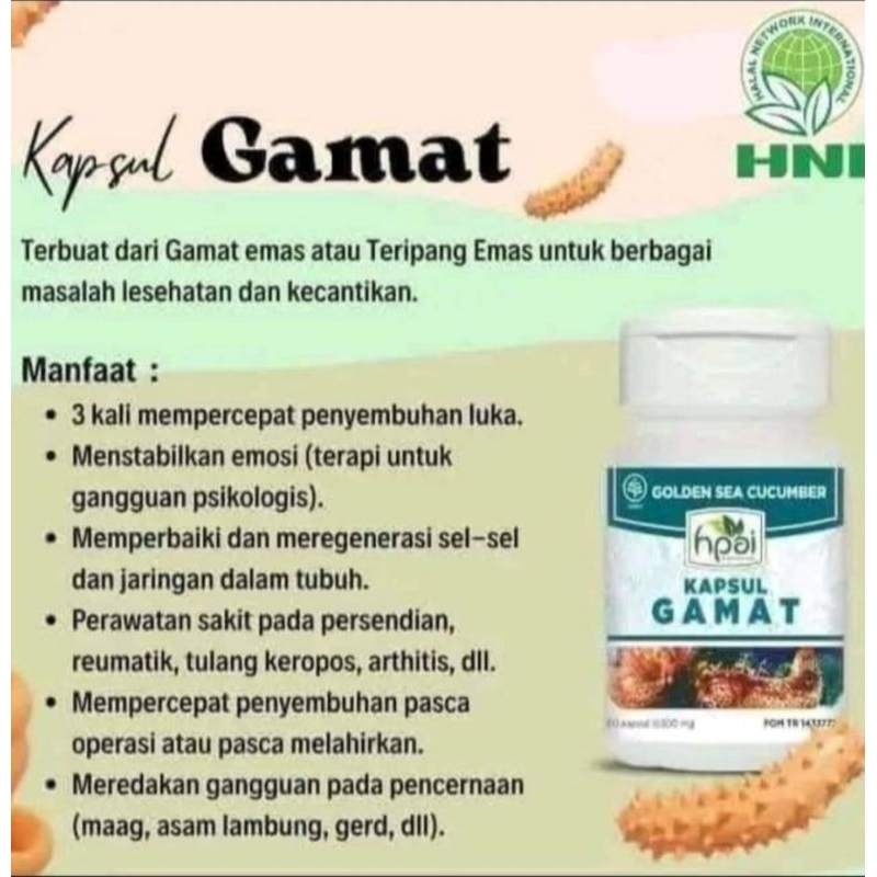 HNI - HPAI KATALOG PRODUK HERBAL - GAMAT DEEPSQUA SPIRULINA HARUMI BILLBERRY  BIOSIR LANGSINGIN ANDR