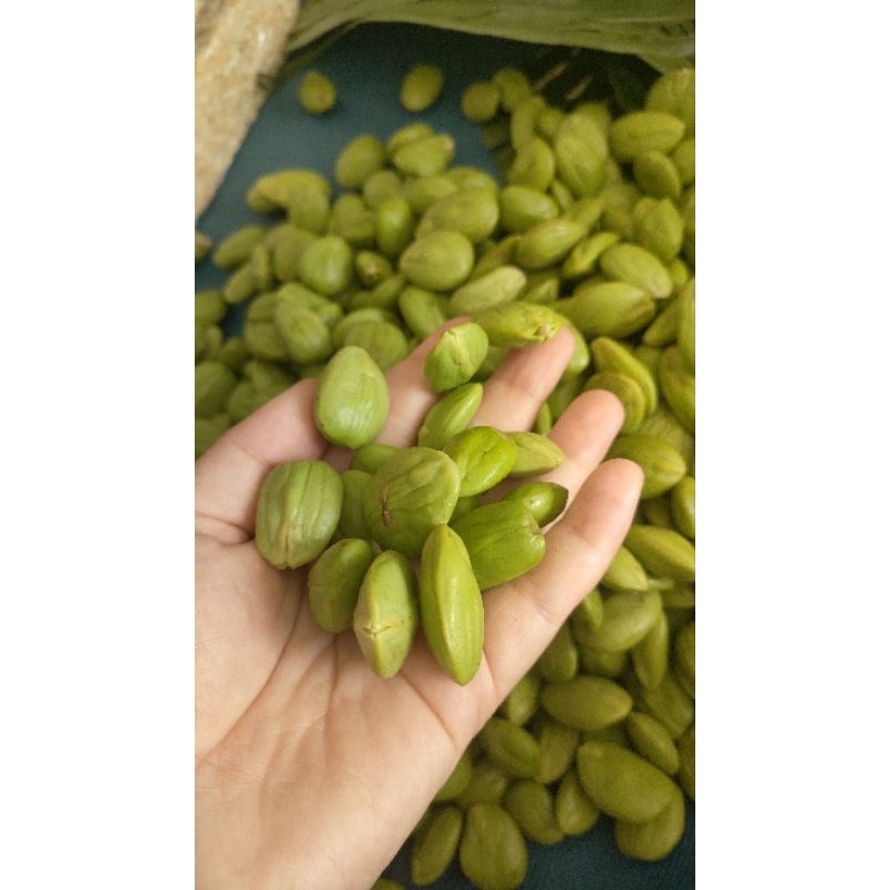 

Pete kacang tanpa ulat