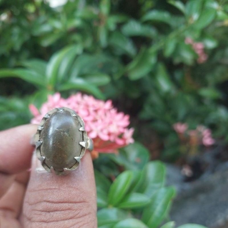 batu akik lumut madura asli