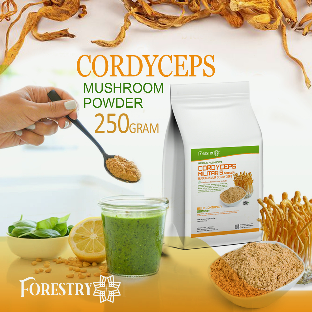 

Cordyceps Mushroom Powder 250 Gram Forestry Bubuk Jamur cordycep