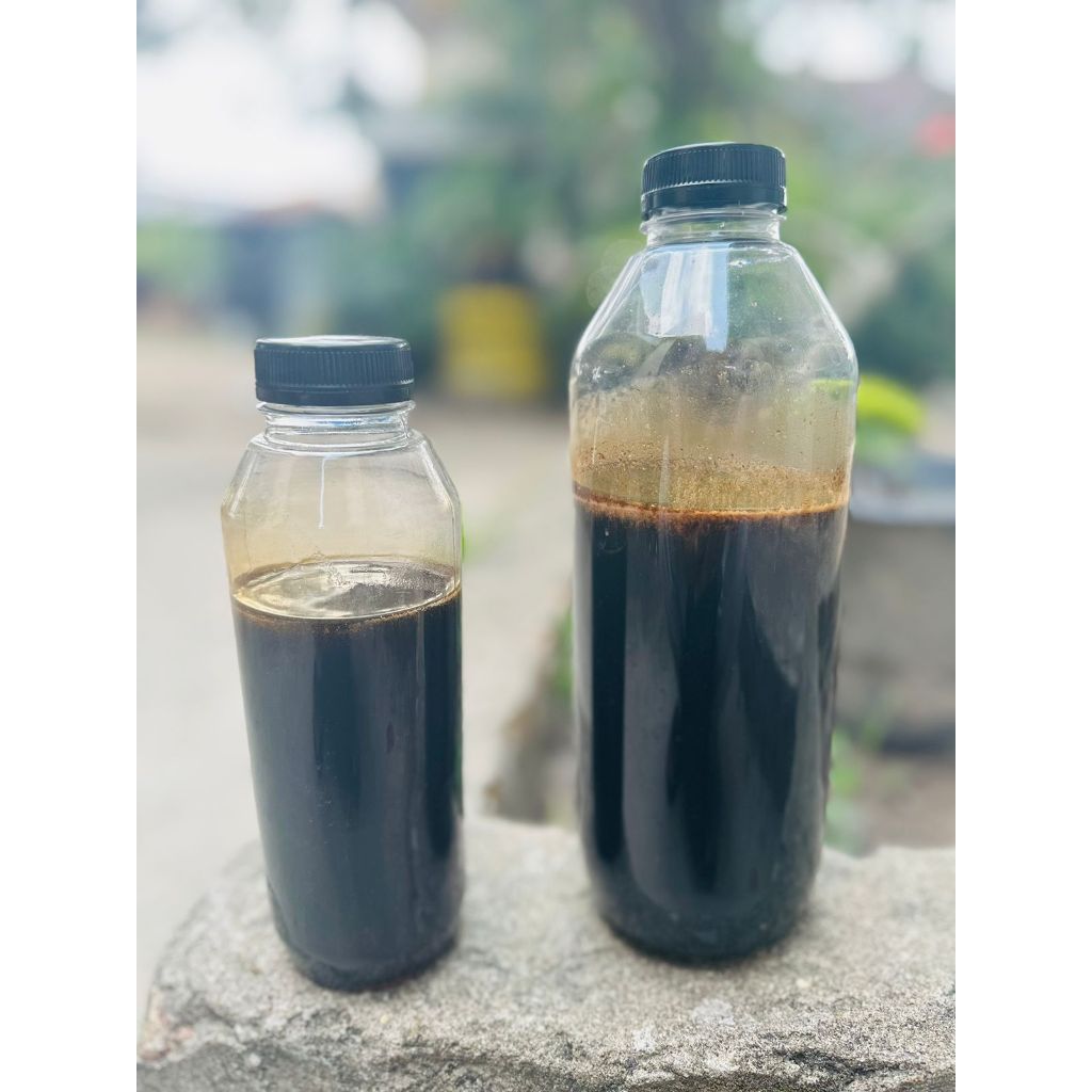 

MADU HITAM HUTAN AKASIA