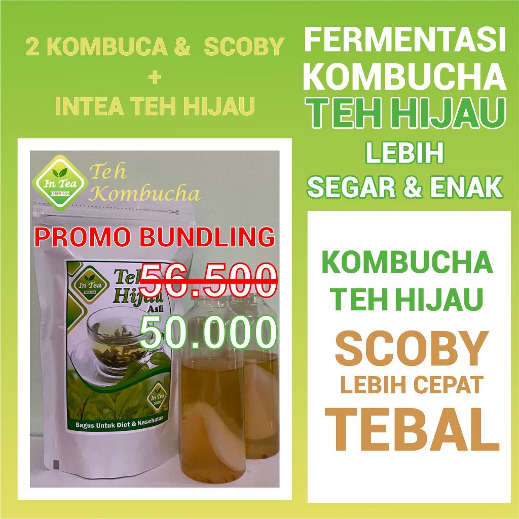 

KOMBUCHA TEH HIJAU INTEA | BIBIT SCOBY KOMBUCHA BERKUALITAS | STARTER KOMBUCHA