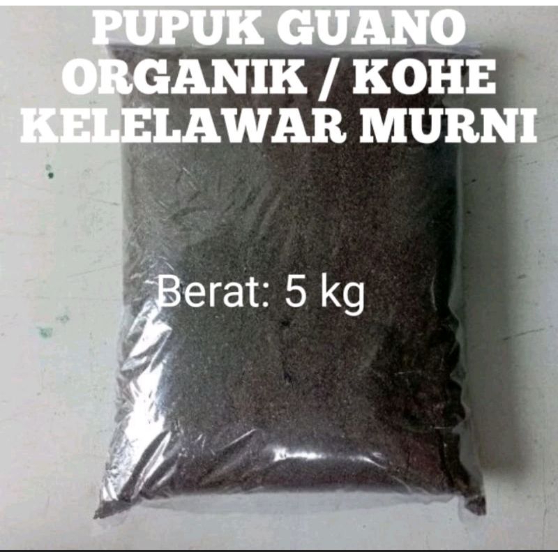 Pupuk Guano Murni (kotoran kelelawar)