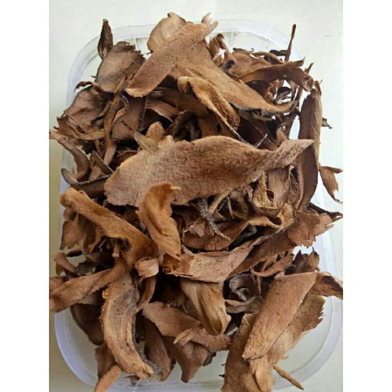 

Dried Drynaria Rhizoma Drynaria kering 100gr