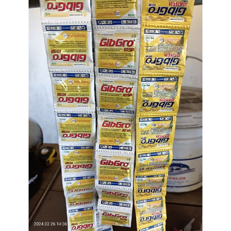 Gibro 10sp dan Gibro panen 20sp