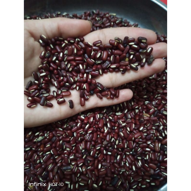 

kacang es | BSM