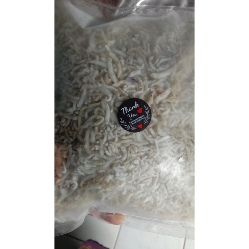 

ikan teri nasi medan