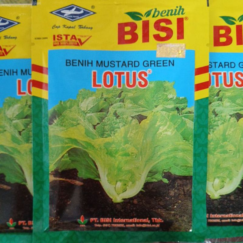 Benih Sawi Hijau Pahit LOTUS 50 Gram Cap Kapal Terbang