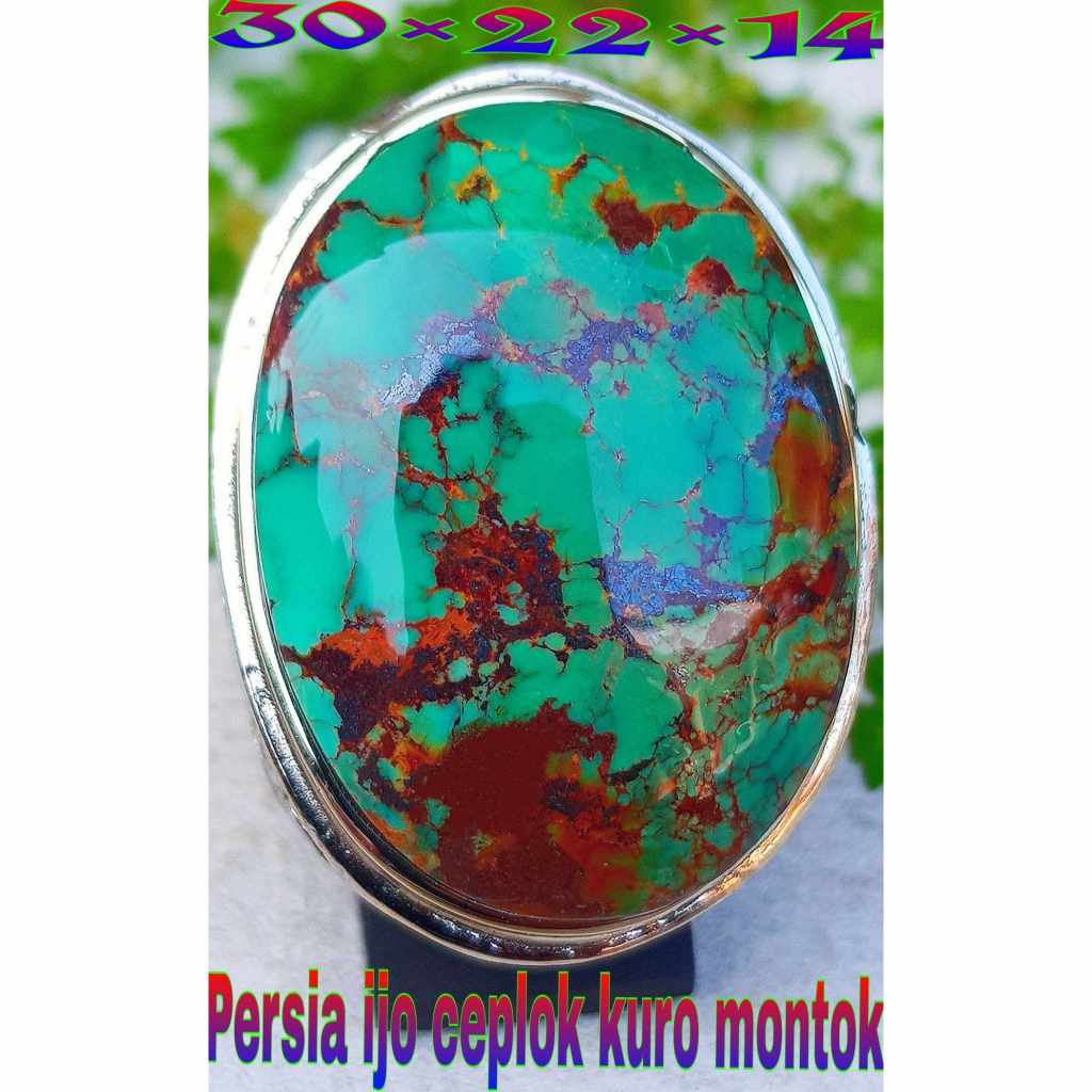 Pirus Persia Ijo Pupus Dim 30 Urat Mantap Lawas Bkn Pandan Bacan Yaman Garut