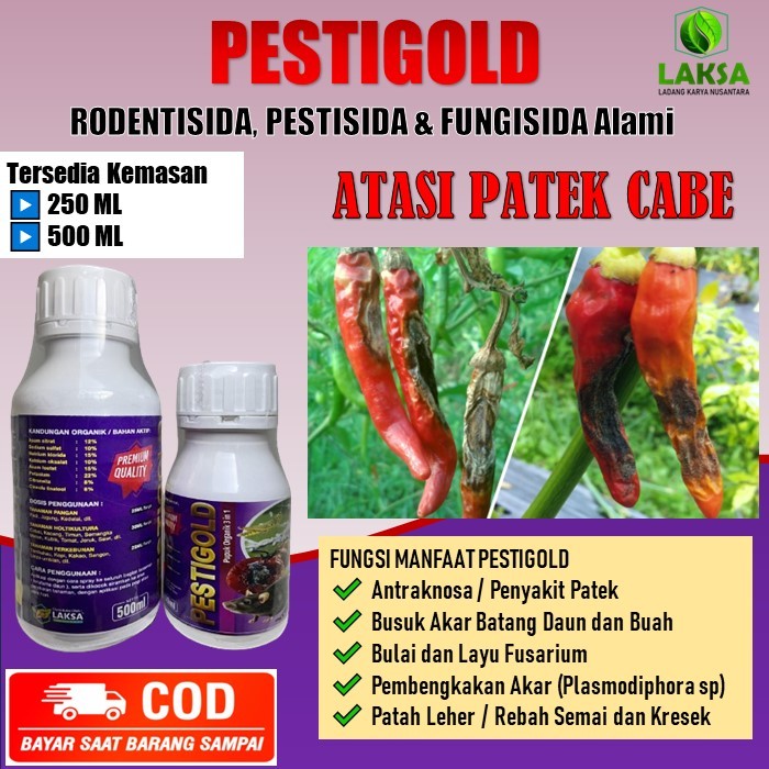 PESTIGOLD obat semprot atasi penyakit patek pada cabe/cabai rawit dan tanaman lainnya - PESTIGOLD Pu