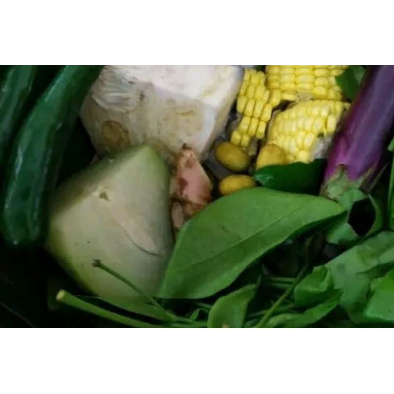 

Paket sayur lodeh + sunkara