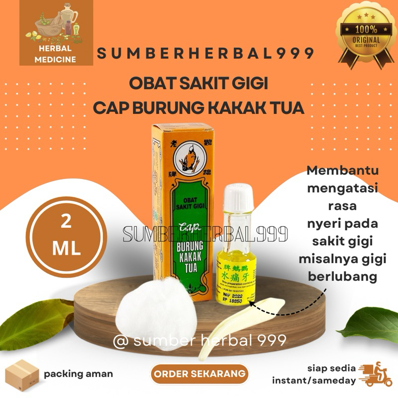 Obat Sakit Gigi | Burung Kakak Tua